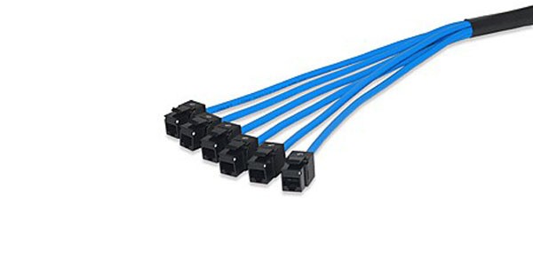 CAT6, Jack-to-Plug, Unscreened U/UTP Trunk Cable-img-1